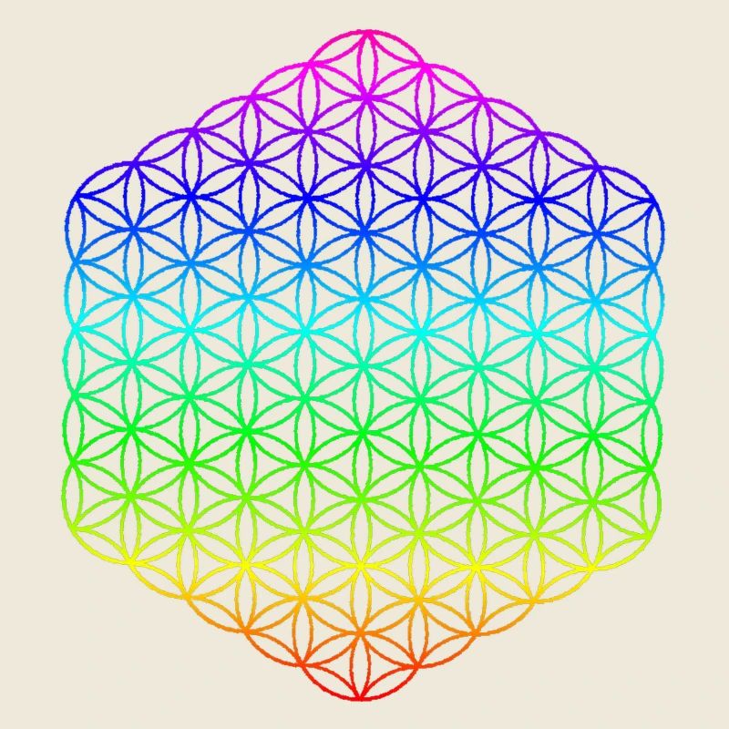 Fleur de Vie - 5ème Dimension - Mandala