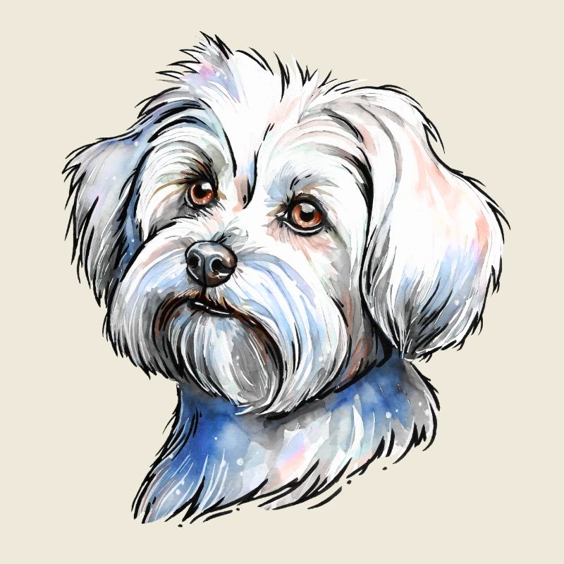 Portrait de bichon maltais