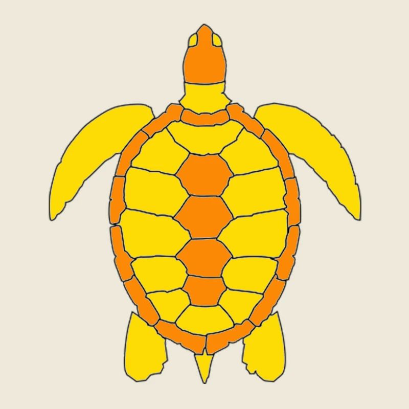TORTUE