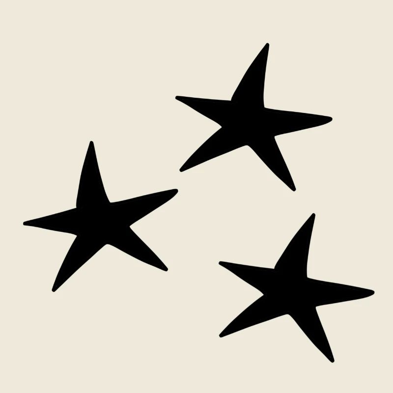 Star pattern icon