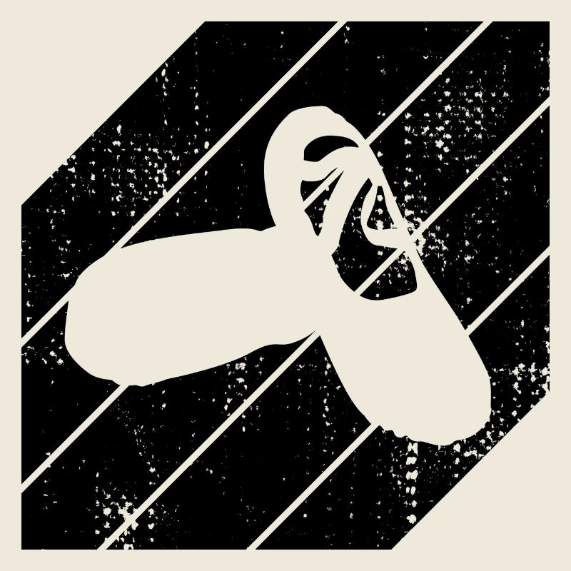 Chaussons de ballet
