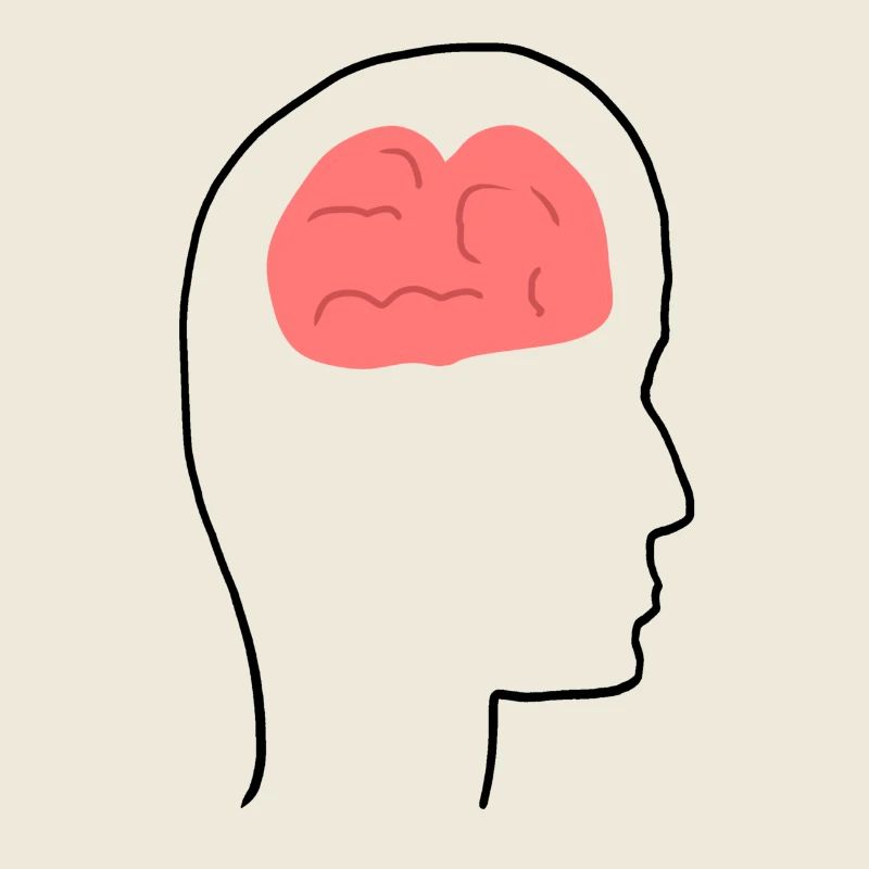 Head Profile People Side Brain Form