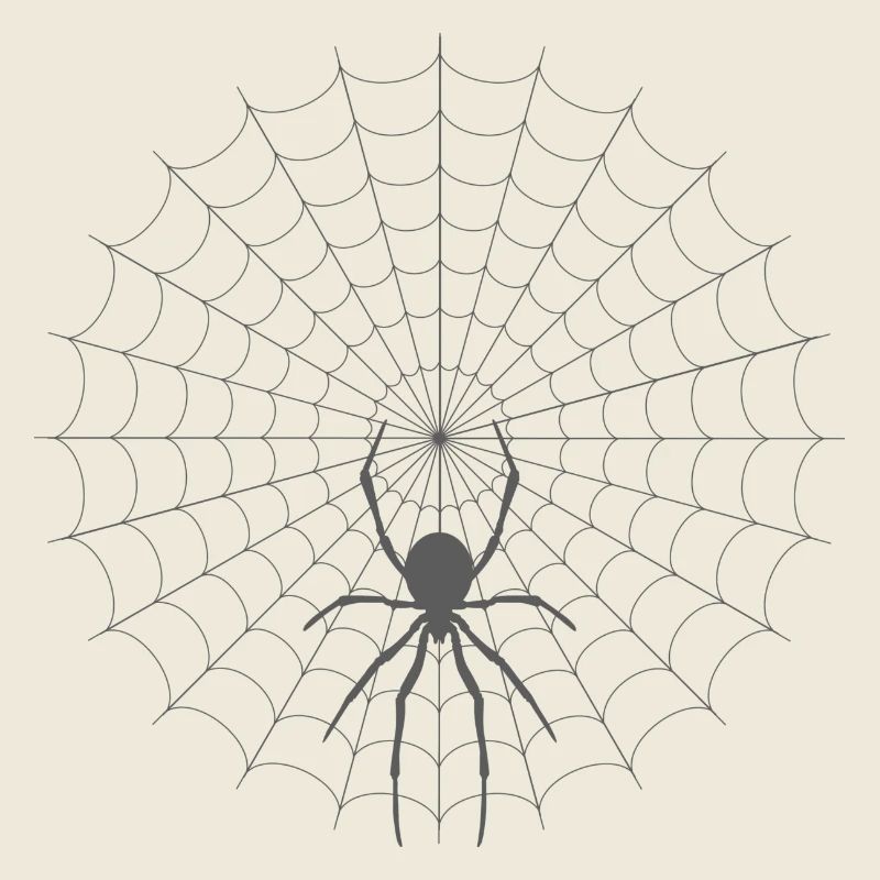 Silhouette de toile d’araignée