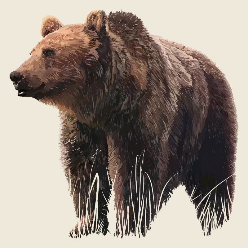 Realistic bear illustration on textile