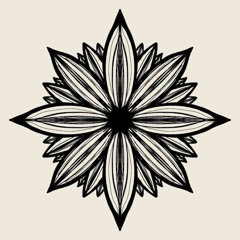 Daisy flower