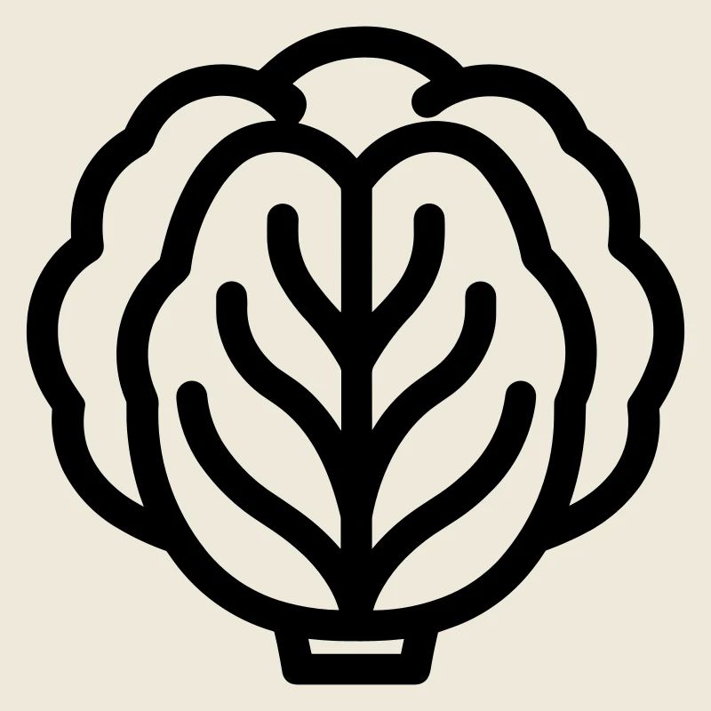 cabbage