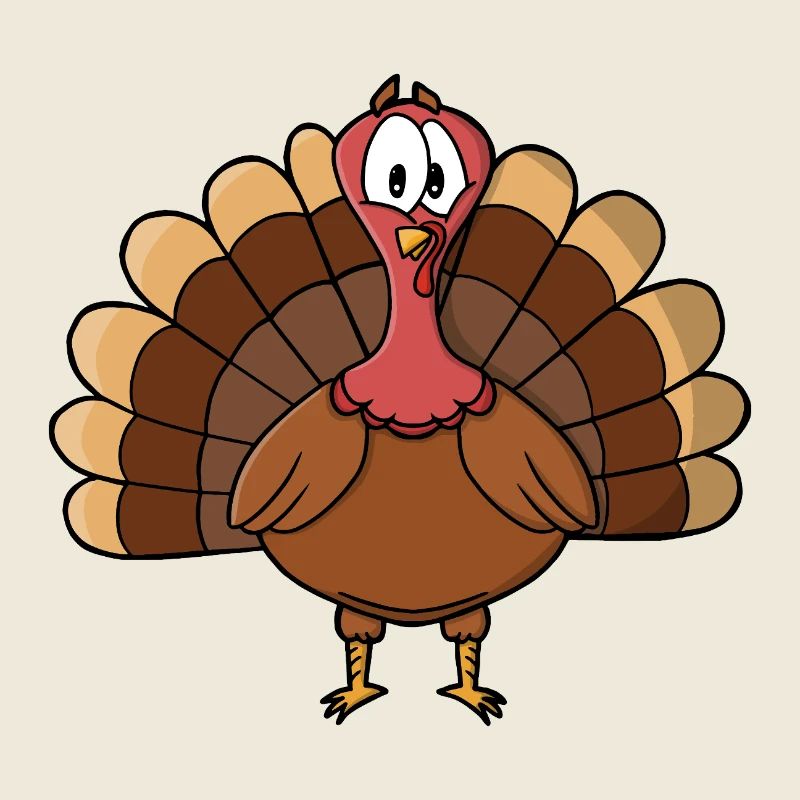 Dinde à queue large