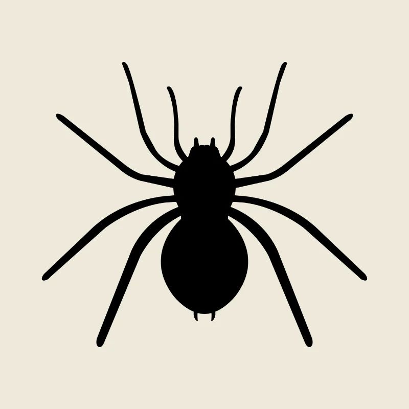Spinne