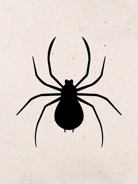 araignée
