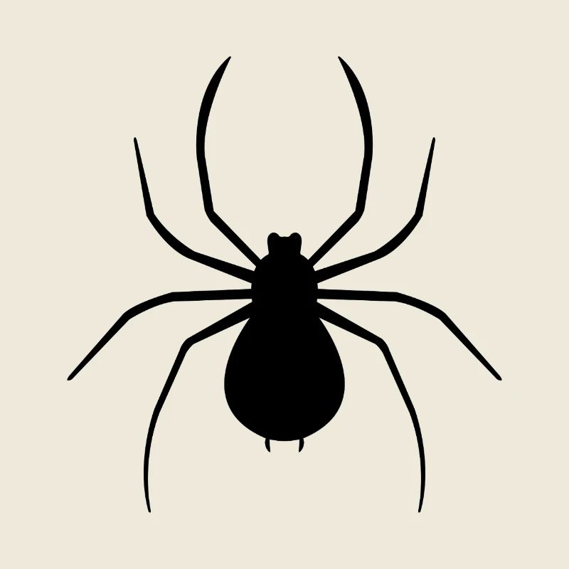 Spinne