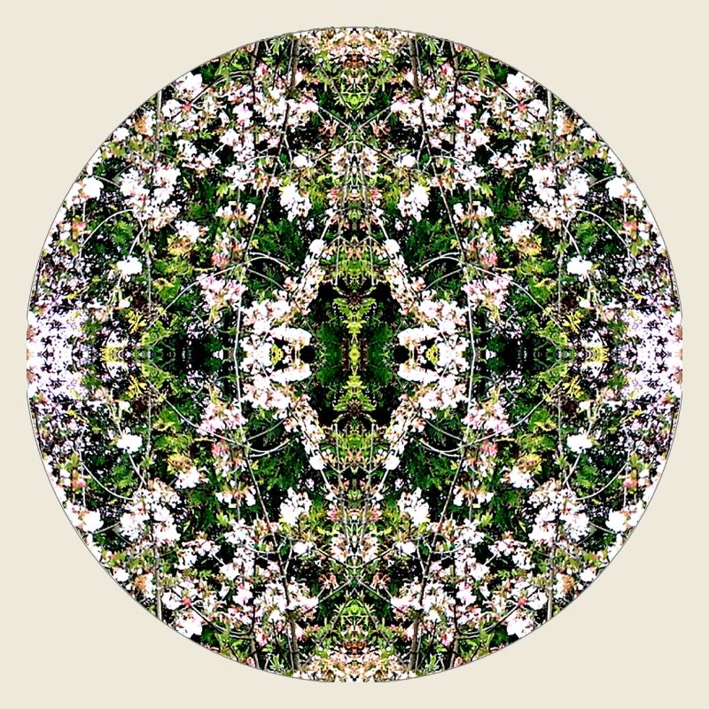 Source du Mandala de la Nature à Nuremberg