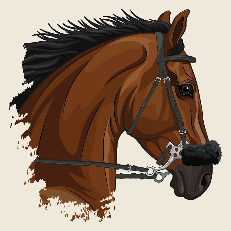 Der Kopf eines braunen Pferdes mit einem Hackamore