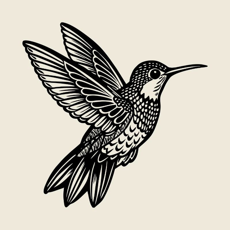 Kolibri