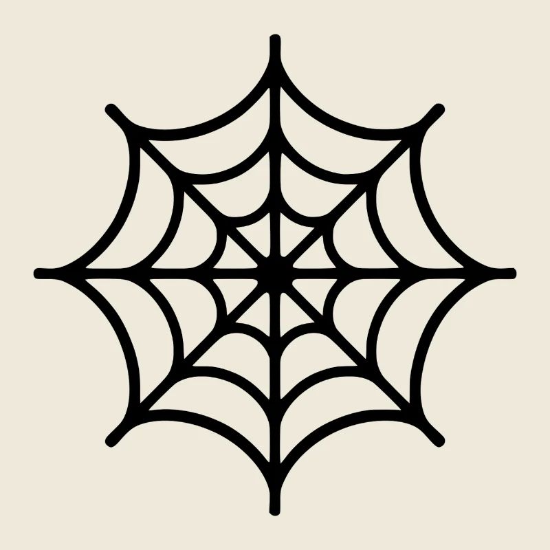 Spinnennetz Spinne