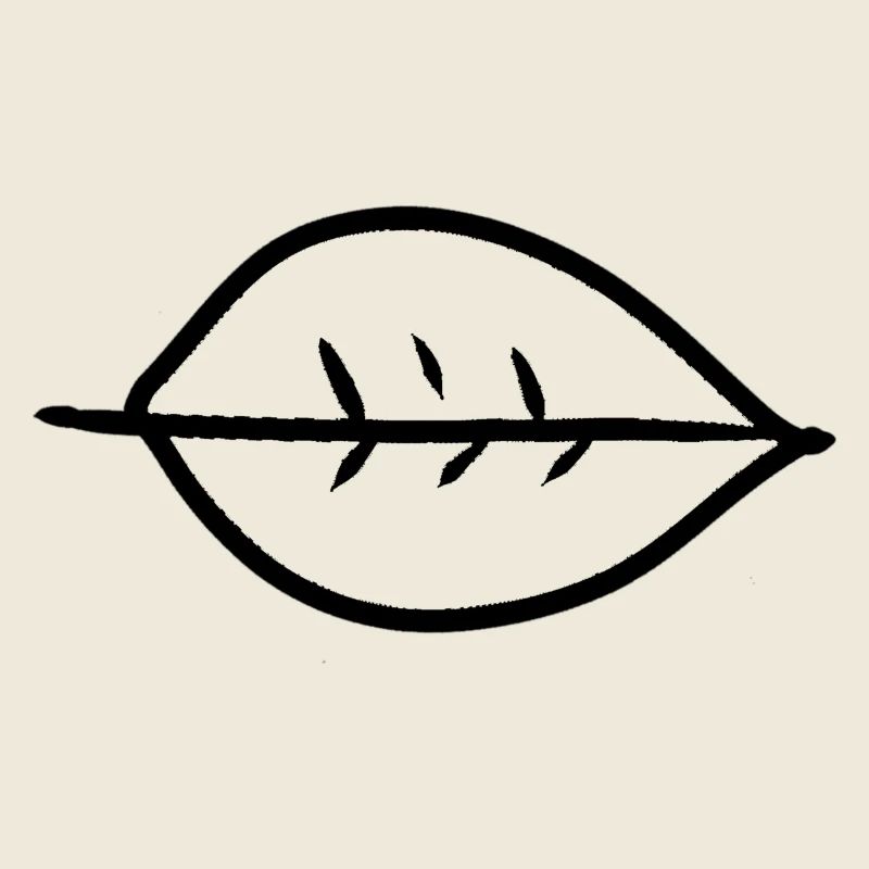 Leaf Shape Nature