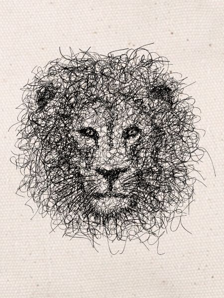 Lion Scribble