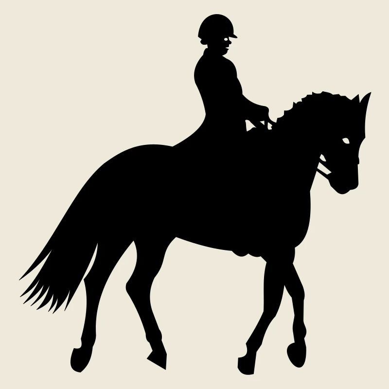 Chevaux,cheval,équitation,poney,cowboy,trot,galop
