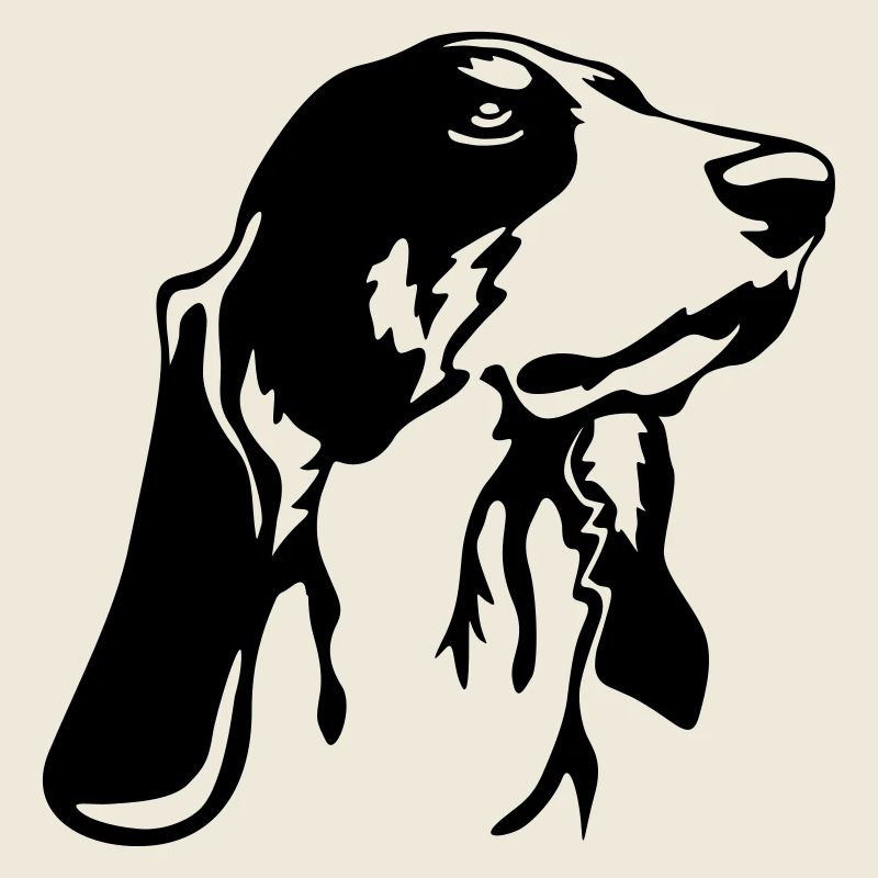 Tête de chien bernois