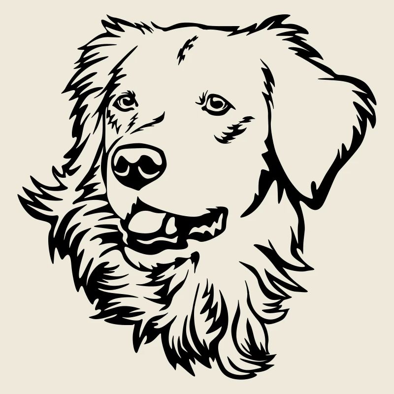 Golden Retriever Kopf