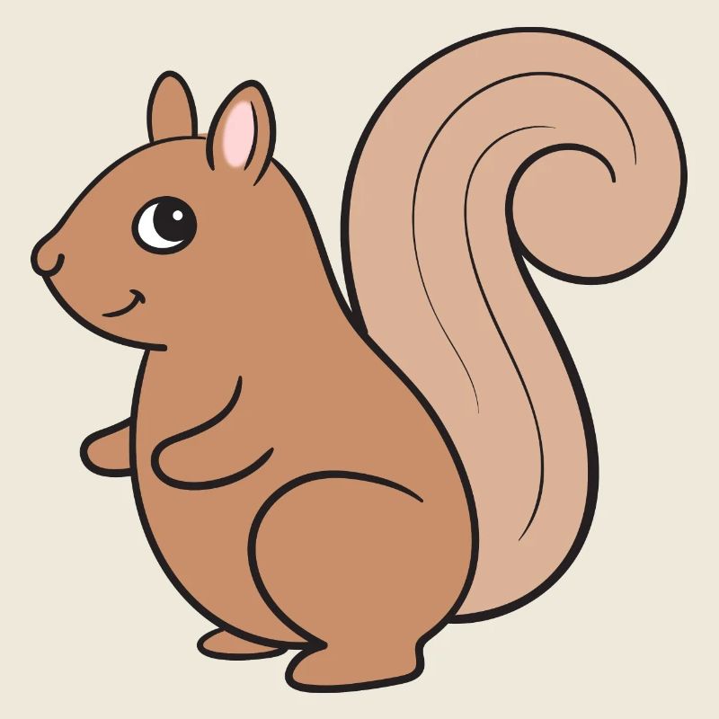 Squirrel