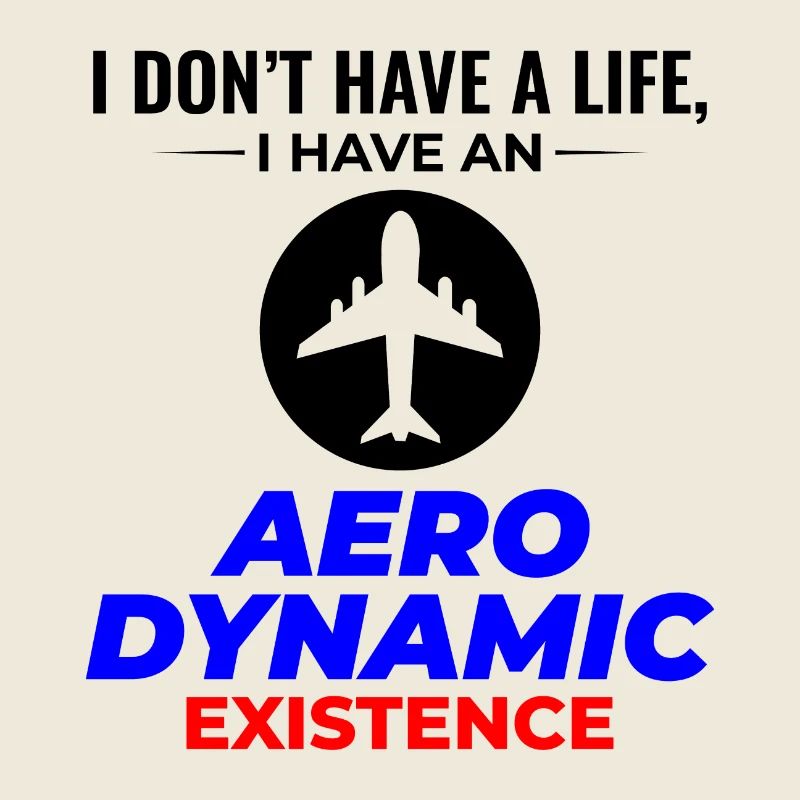 Aerospace Engineer Flight Mechanics Plane Airplane
