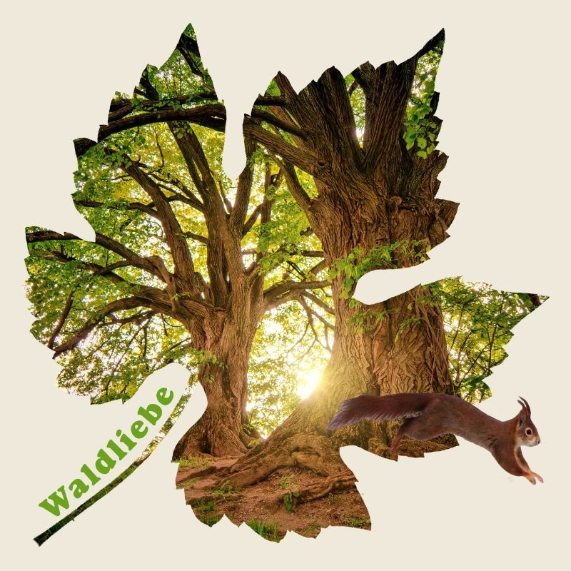 wald 25 im blatt mit eichhörnchen