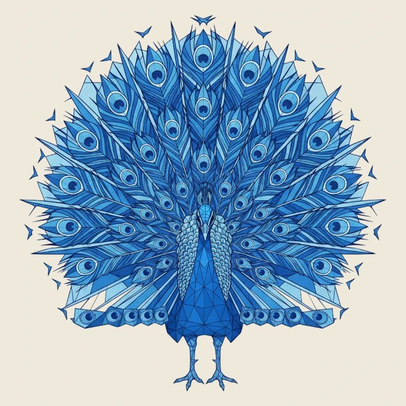 Cobalt Blue Peacock Fan