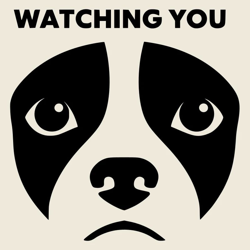 Dog View Watching You Saying