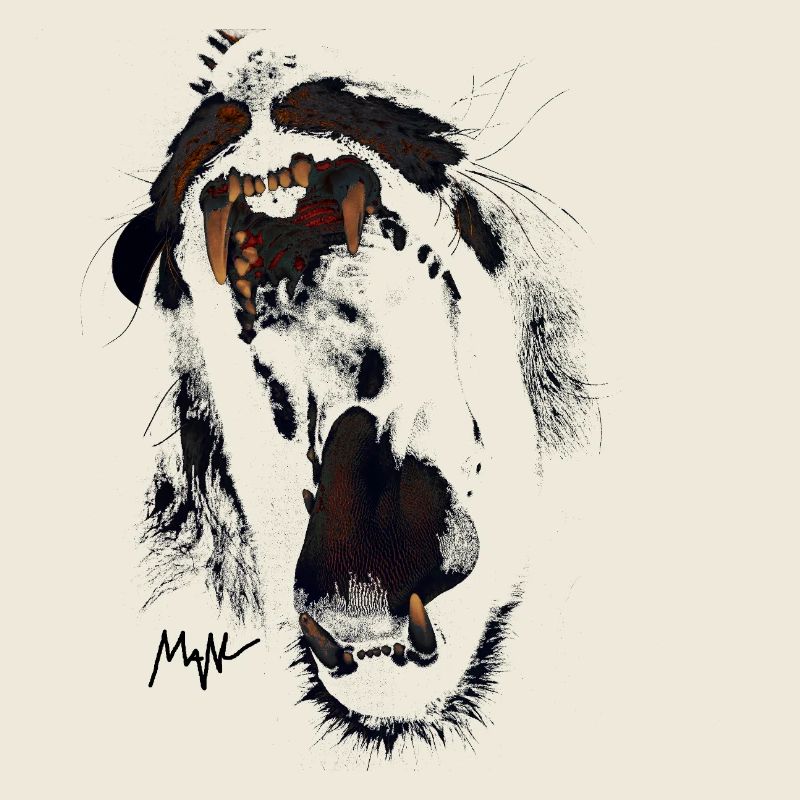 lion
