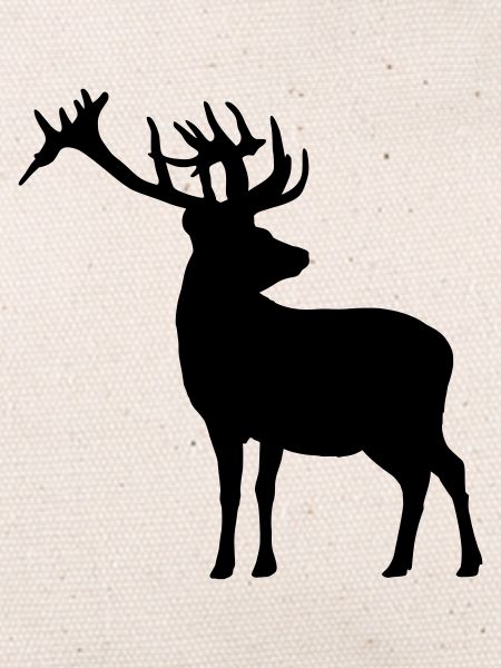 Hirsch