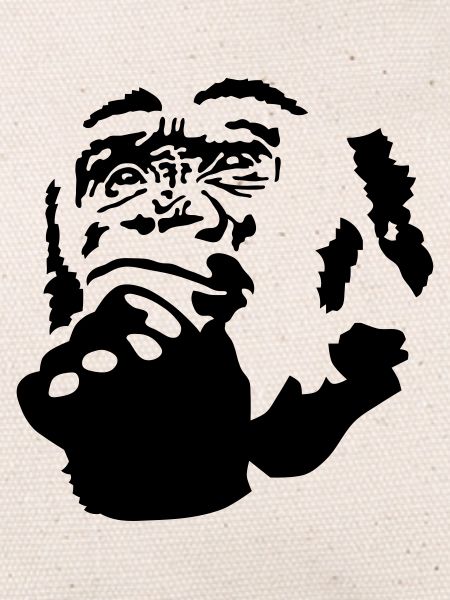 monkey