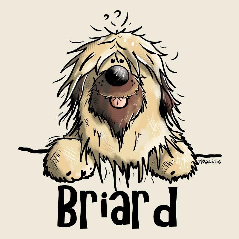 Funny Briard