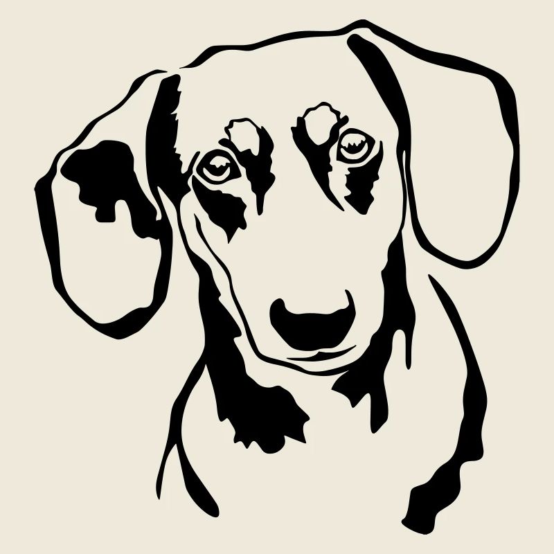 Dachshund head