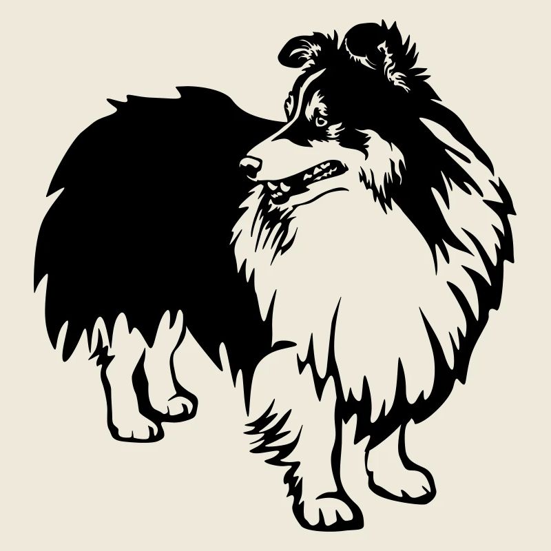 Sheltie