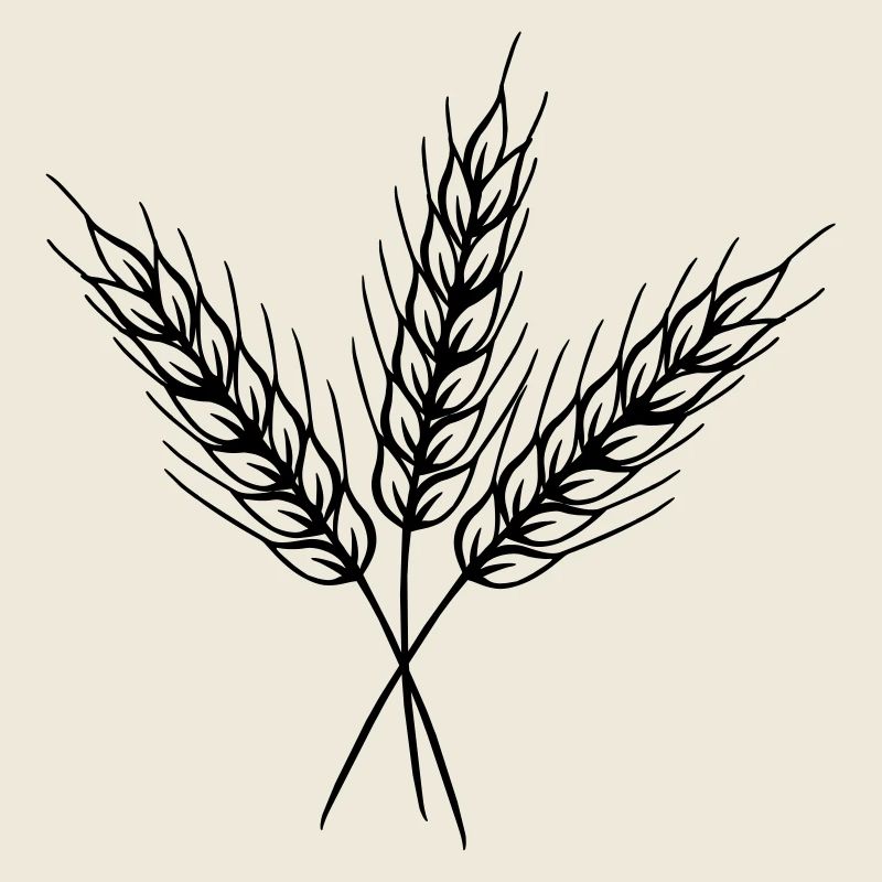 Three fine grain stalks