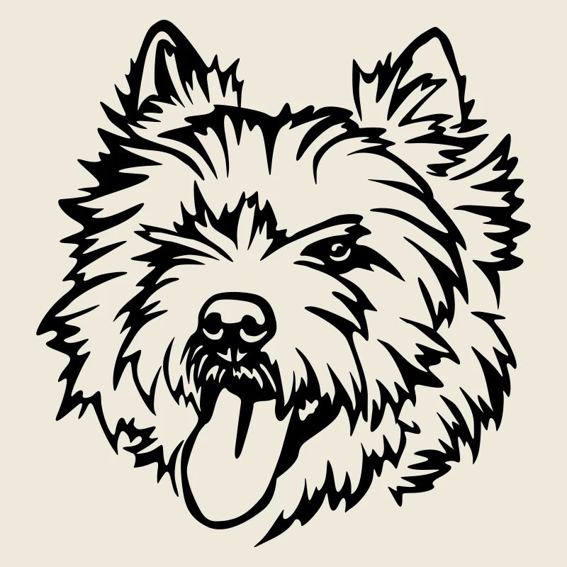 Tête de Cairn Terrier