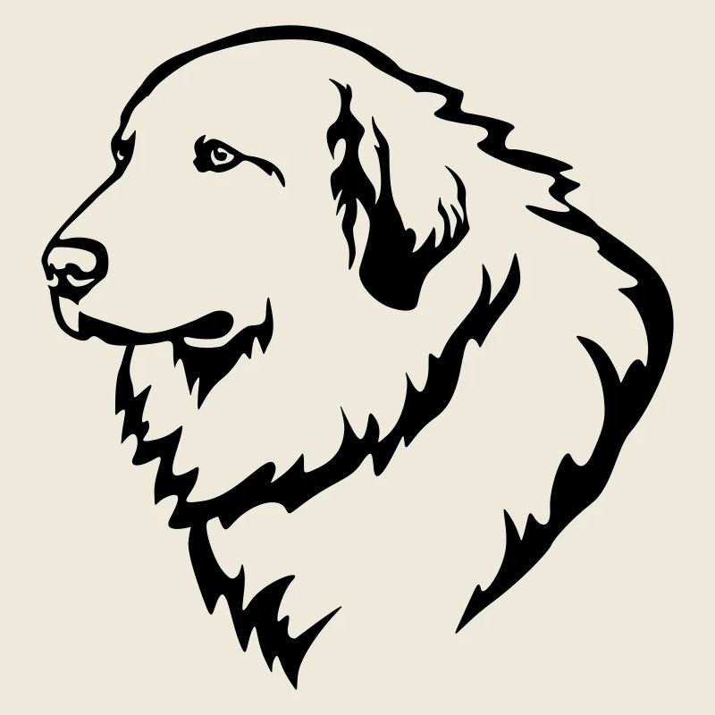Pyrenäenberghund Kopf