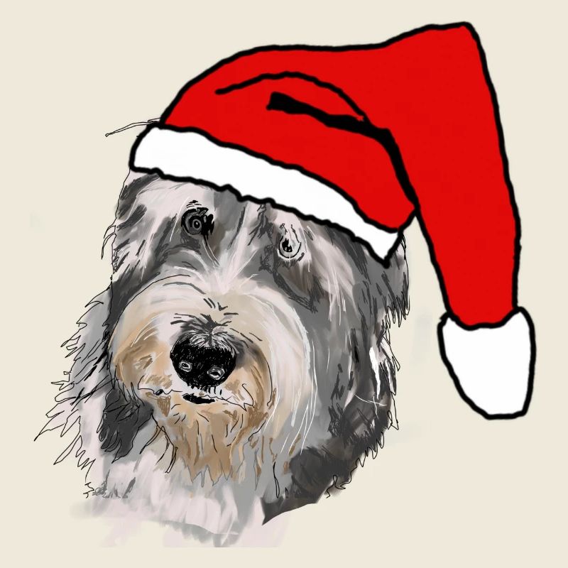 Collie barbu