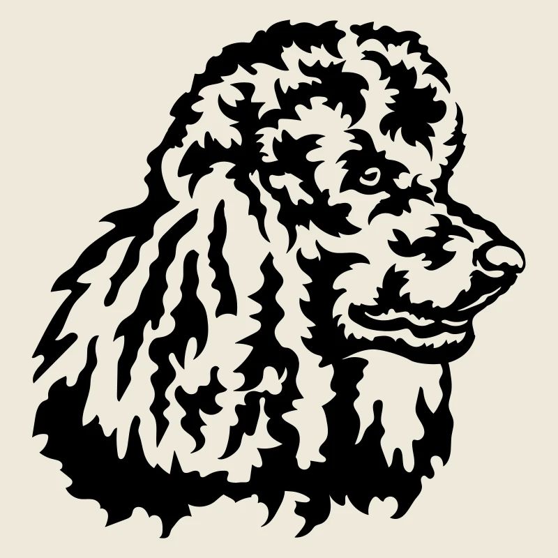 Grosse tête de caniche