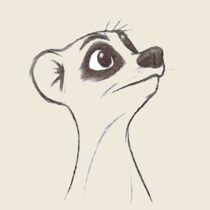 fragendes Erdmännchen