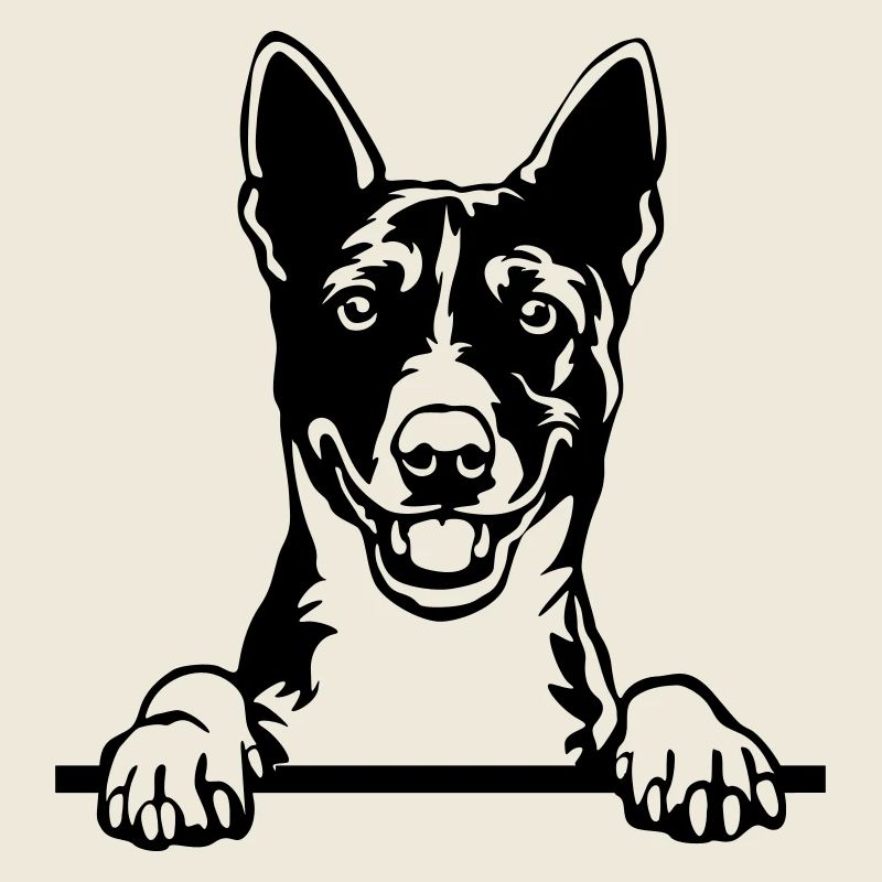 Chef Basenji