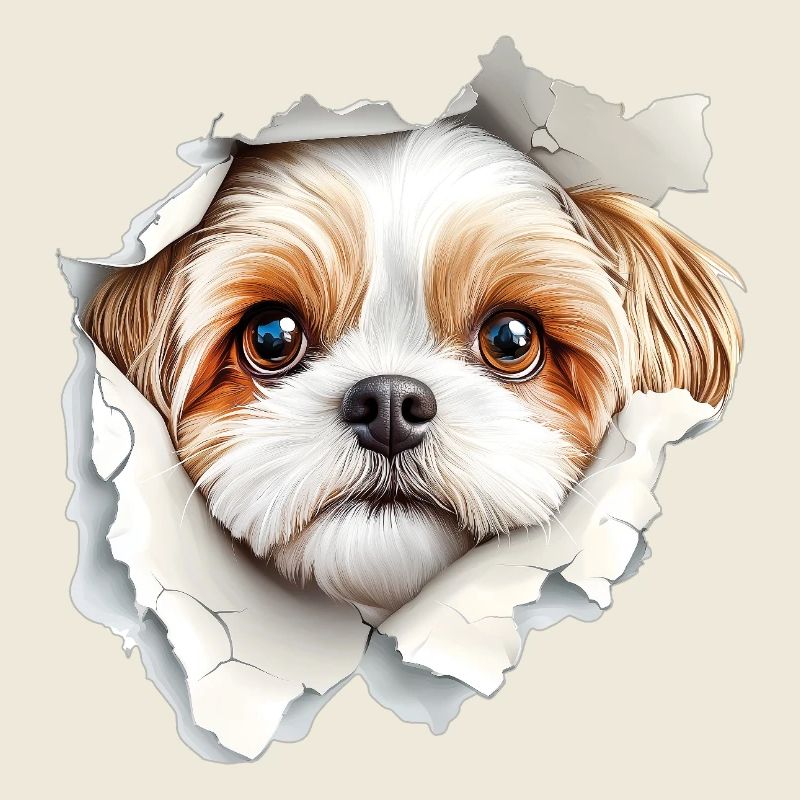 Shih Tzu