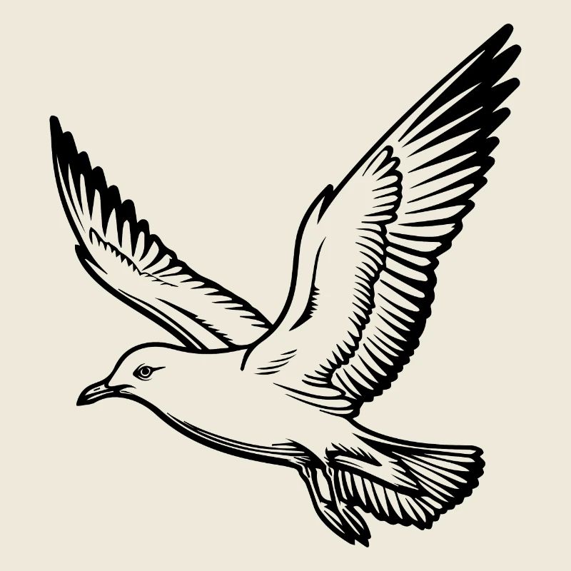 Mouette