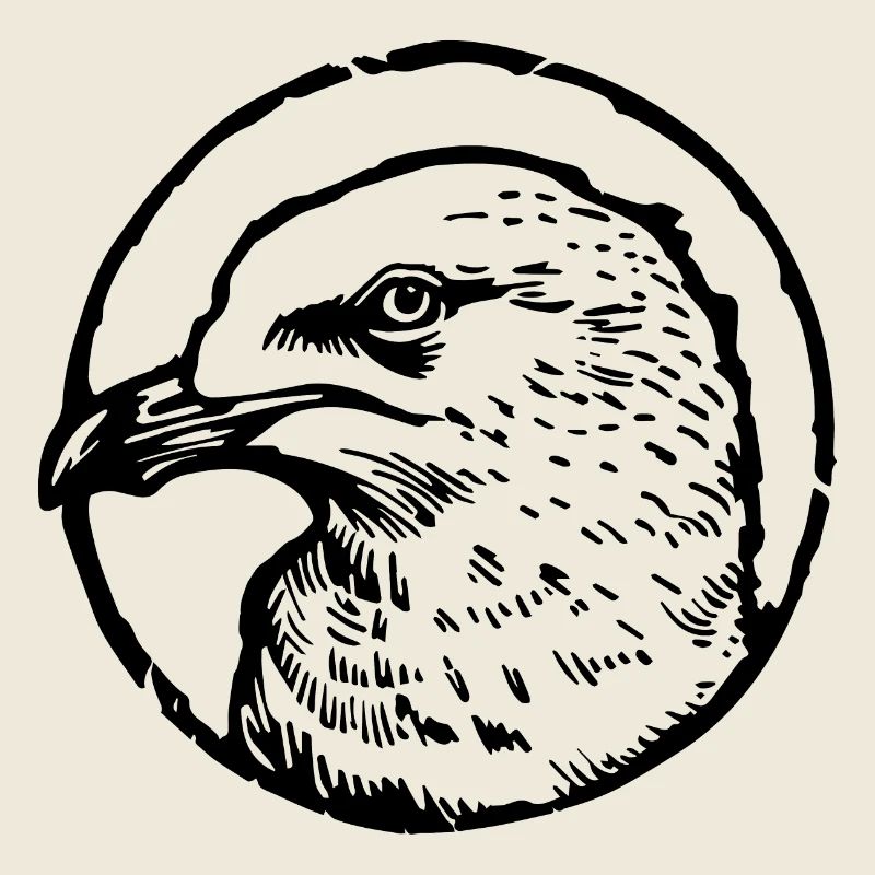 Gull