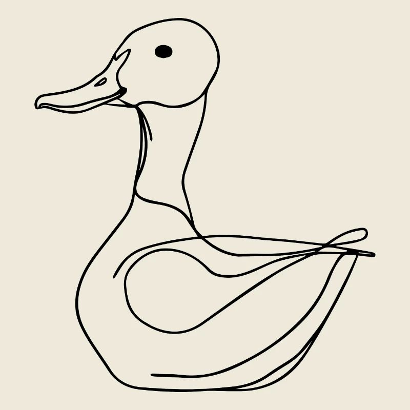 Canards