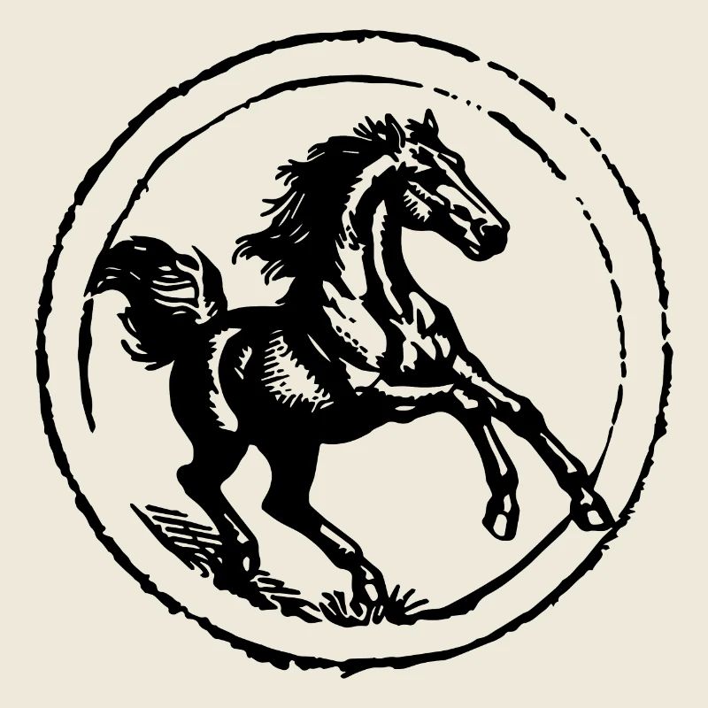 Pferd Pferde Reiten Reiter Reiterin