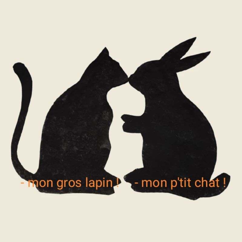 Chat et lapin amis, relation romantique