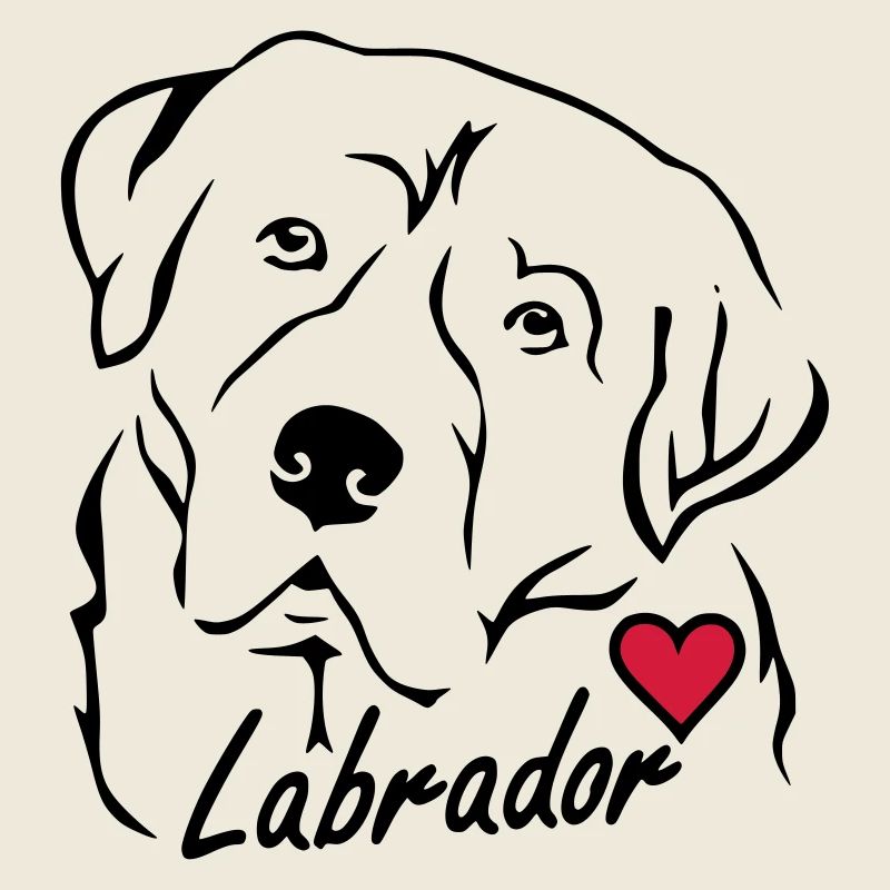 Labrador ❤