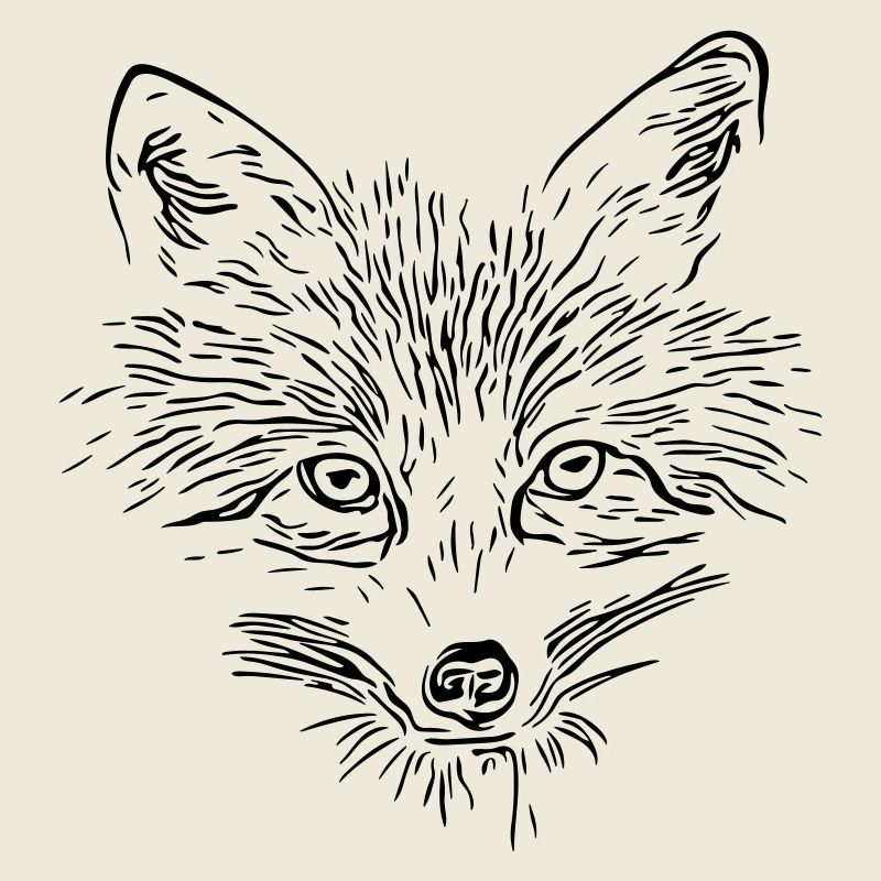 Visage de renard - Visage de renard