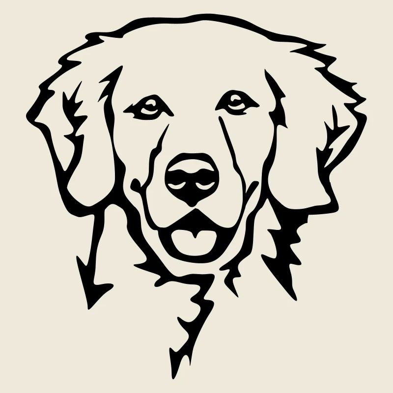 Golden Retriever Kopf